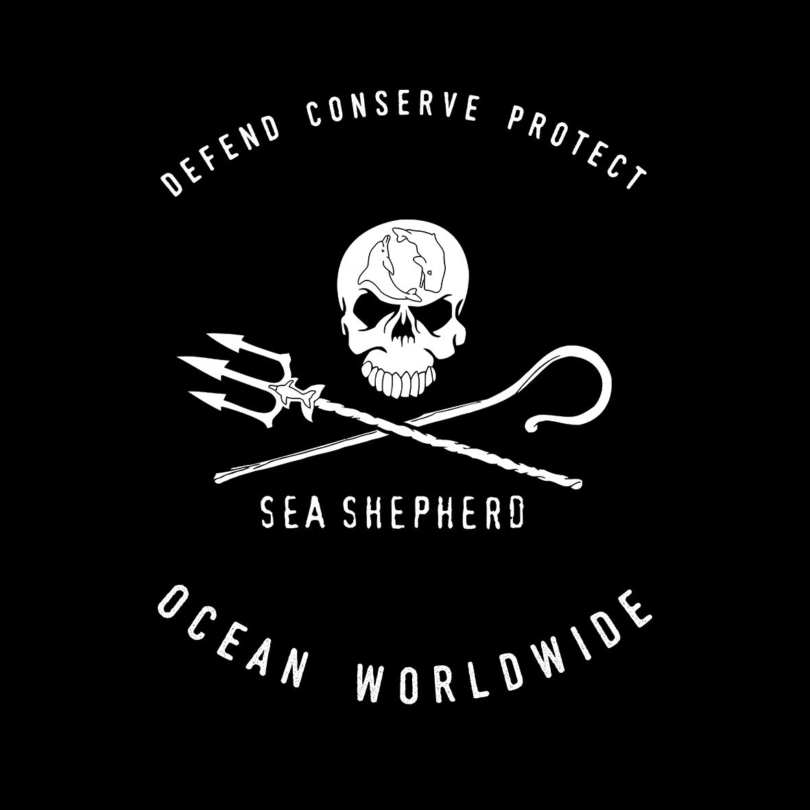 Sea Shepherd – Time4child