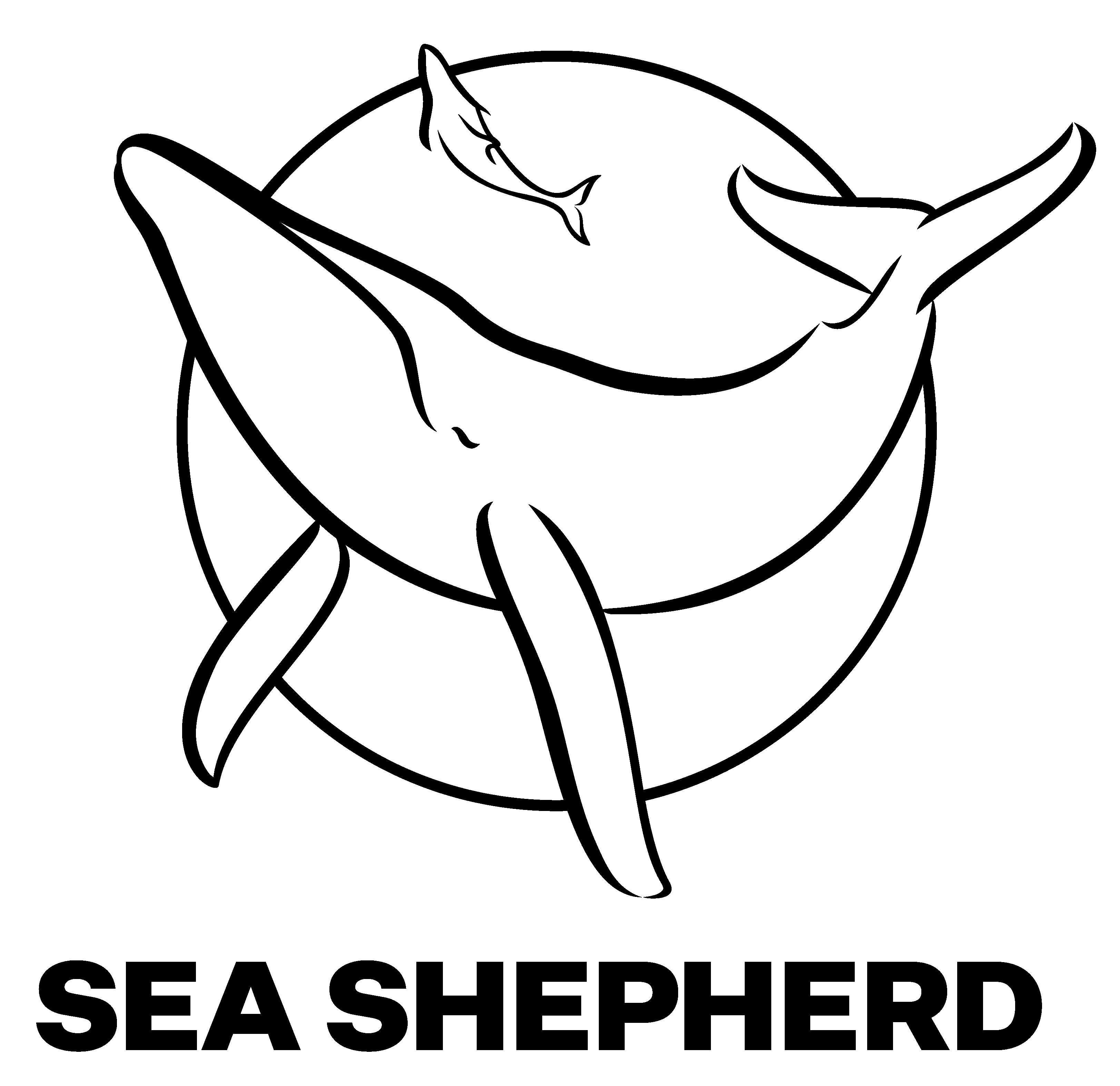 6. Sea Shepherd